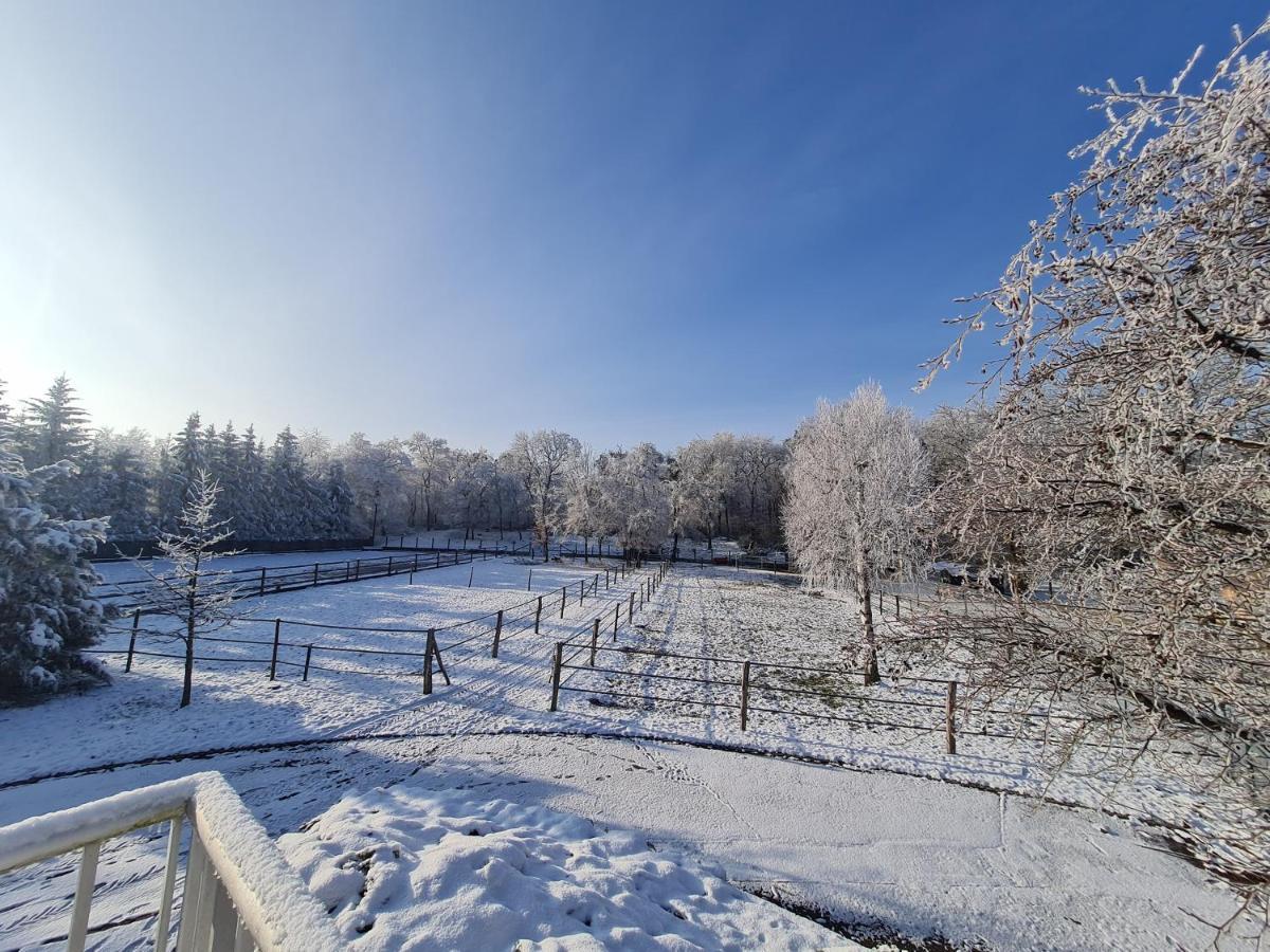 Repos Rouge-Plaisir Au Milieu Des Chevaux Apartamento Kembs Exterior foto