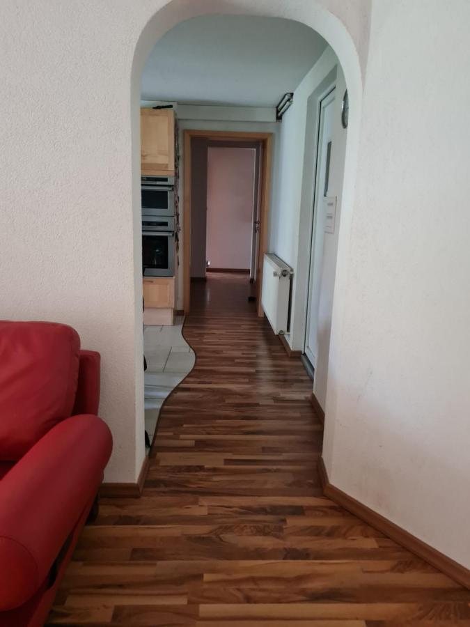 Repos Rouge-Plaisir Au Milieu Des Chevaux Apartamento Kembs Exterior foto