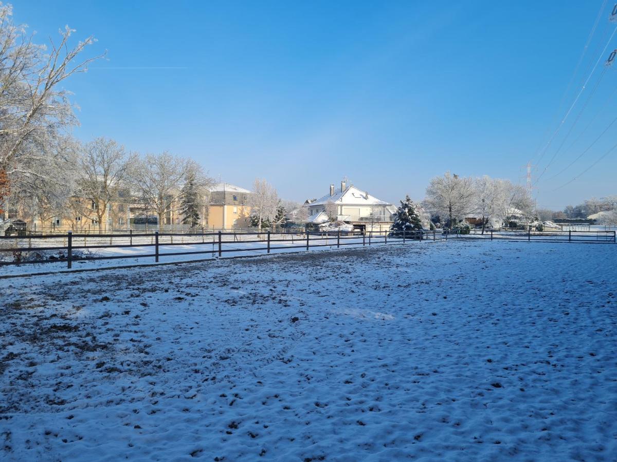 Repos Rouge-Plaisir Au Milieu Des Chevaux Apartamento Kembs Exterior foto